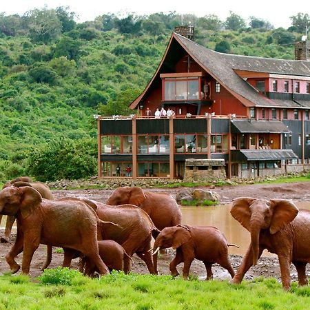 The Ark Lodge Nyeri Exterior foto